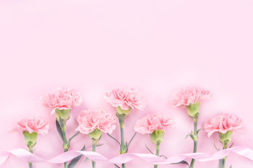 Obraz na płótnie Canvas Beautiful elegance blooming baby pink color tender carnations in row isolated on bright pink background, mothers day greeting design concept,top view,flat lay,close up,copy space