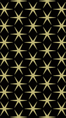 Ornate geometric pattern and two-tone abstract background