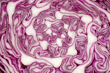 macro structure inside the purple cabbage