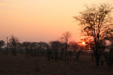 Fototapeta na wymiar sunrise on safari africa