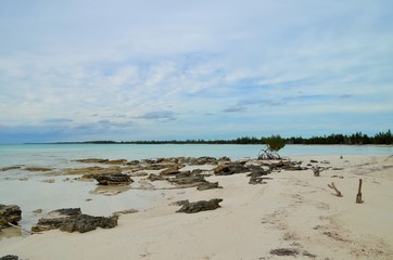 Fototapeta na wymiar Grand Bahamas Island - Naturstrand