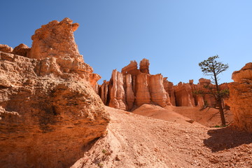 landscape on the bryce canyon in the united states of america