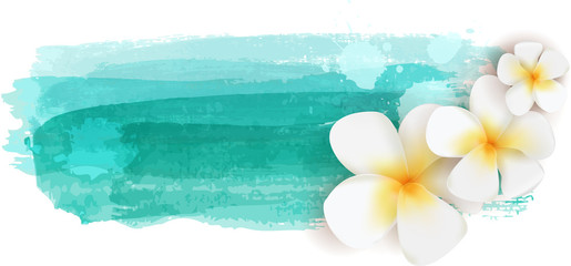 Plumeria auf Aquarellbanner © Artlana