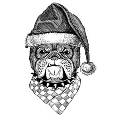 Dog, bulldog wearing christmas Santa Claus hat. Hand drawn image for tattoo, emblem, badge, logo, patch