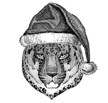 Panther, jaguar, leopard wearing christmas Santa Claus hat. Hand drawn image for tattoo, emblem, badge, logo, patch