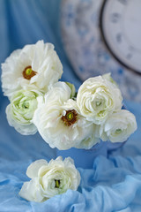 White ranunculus.Beautiful white flowers in a blue cup.Lovely bunch of flowers on a blue background.