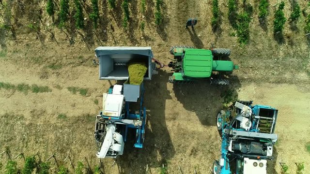 Vendanges m&eacute;caniques dans les vignes