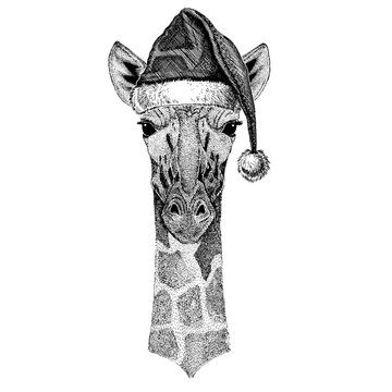 Camelopard, giraffe wearing christmas Santa Claus hat. Hand drawn image for tattoo, emblem, badge, logo, patch