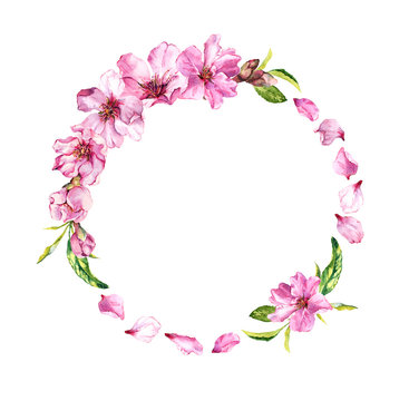 Cherry blossom, spring flowers sakura . Floral wreath with petals. Watercolor circle frame