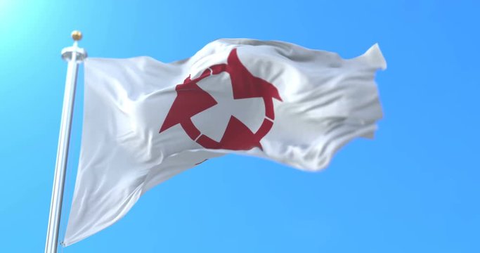 Flag of Ōita Prefecture japanese, Japan. Loop