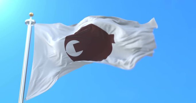 Flag of Nara Prefecture japanese, Japan. Loop