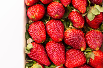 strawberries in a box