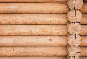 Beautiful Natural Background Pattern of a wood Wall. 