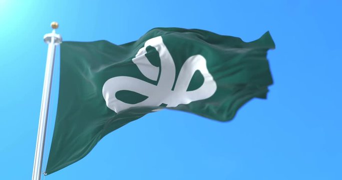 Flag of Miyagi Prefecture japanese, Japan. Loop