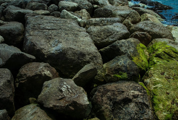 Sea Rock