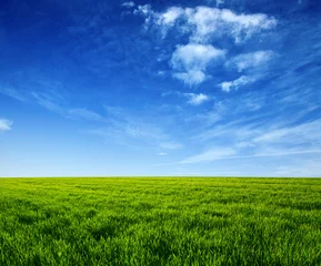 Schilderijen op glas green field and blue sky © Alekss