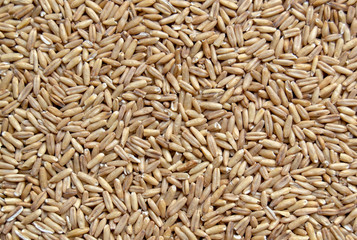 Oat groats (lat. Avéna), top view, close-up. Healthy, natural food.