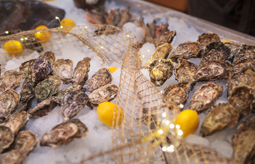 fresh fish and oysters in the restaurant.