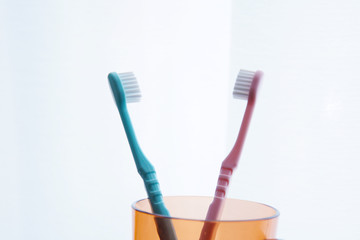 ふたつの歯ブラシ