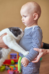Mom introduces the cat with her son, the boy is afraid of the animal