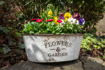 Bunte Blumenschale mit Frühlingsblühern