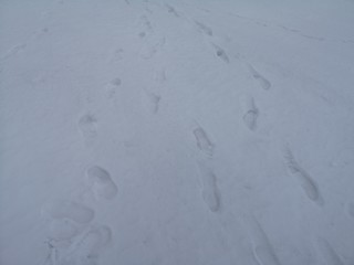 Snow texture with traces for the designer closeup. Winter in Russia