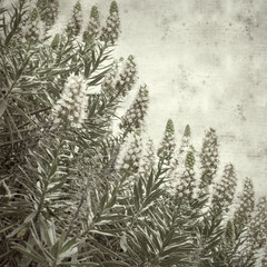  old paper background