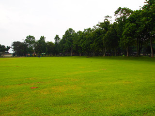green in the park
