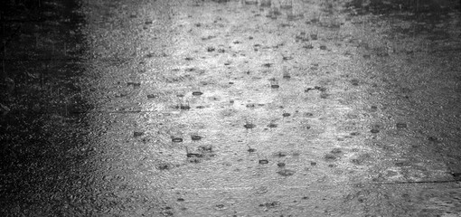 black and white rain on wet floor