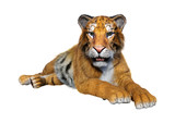 3D Rendering Big Cat Tiger on White