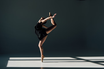 beautiful young ballerina dancing in sunlight - obrazy, fototapety, plakaty