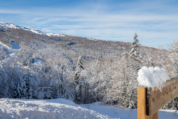 Fototapeta premium Neve in montagna