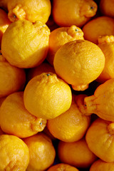 Dekopon orange background