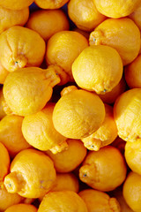 Dekopon orange background