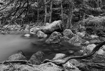 black and white of Erawan waterfall in Thailand