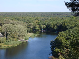 Fototapeta premium lake in the forest