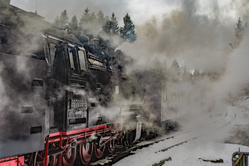 Mit der Schmalspurbahn durch den Harz