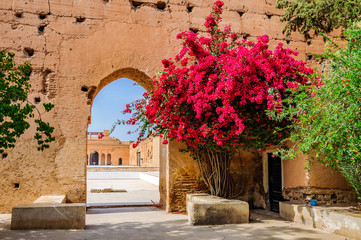 Red flowers in Badi Palace Marrakech, Morocco
