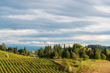 Herbstliche Toskana auf einem Weingut im Chiantigebiet im Schein der untergehenden Abendsonne