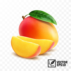 Whole and slice mango fruit with leaf, 3D realistic isolated vector, editable handmade mesh - obrazy, fototapety, plakaty