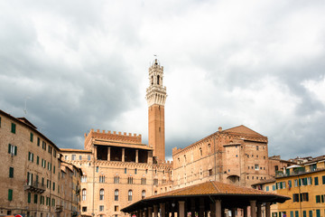 Obraz premium Das Rathaus von Siena und der berühmte Rathausturm von der Rückseite betrachtet.