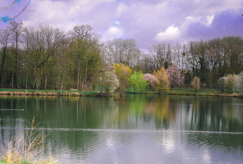 Fototapeta na wymiar Bords du lac