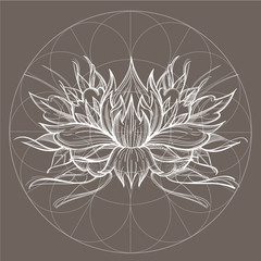 Elegant element of a stylized flower with smooth lines. Stylized floral element for design.