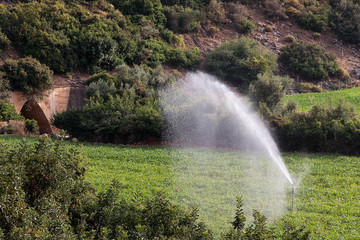 Watering fields with water in Greece
