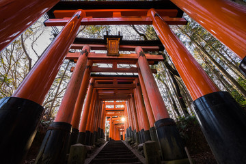 伏見稲荷大社　Fushimi Inari Shrine
