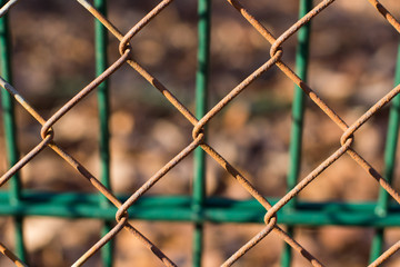 Fototapeta premium Zäune grün und rostig