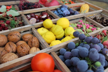 herbstliche Früchte