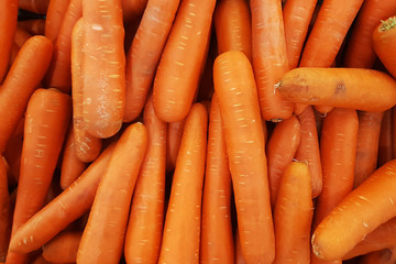 Carrots. Fresh organic carrots. Background texture of carrots.