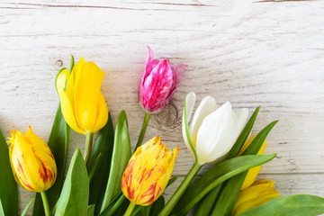 bouquet of colorful tulips on a white wooden floor