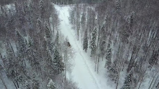 Military APC in the woods during military exercises. Clip. Top view of military armored personnel carriers in the forest in winter